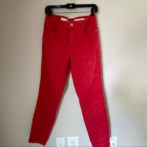 Anthropologie Pilcro Embroidered High Rise Skinny Jean